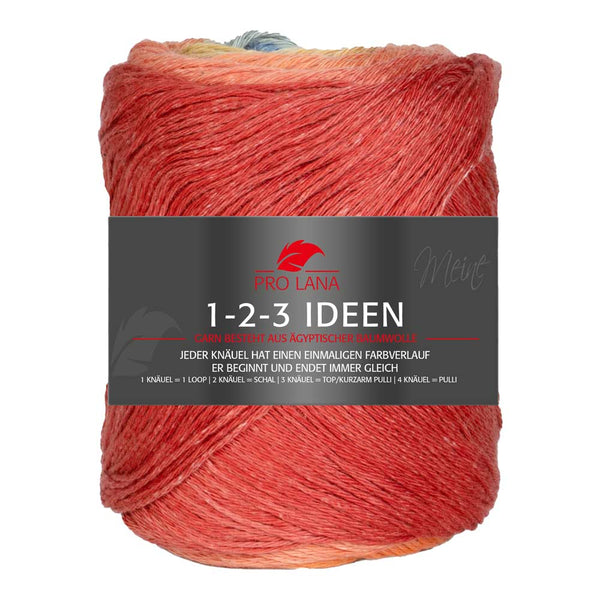 Pro Lana 1-2-3 Ideen Baumwollgarn in verschiedenen Farben