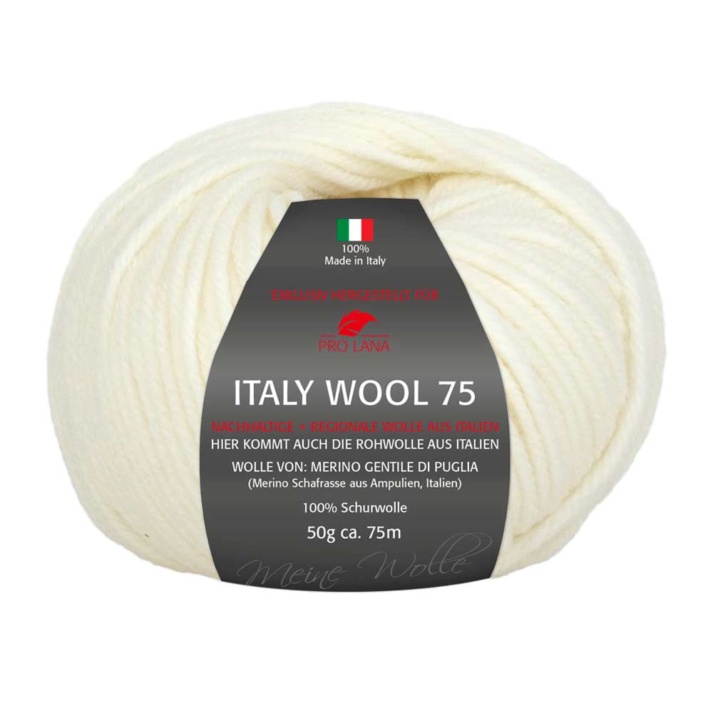 Pro Lana Italy Wool 75 in verschiedenen Farben