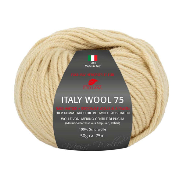 Pro Lana Italy Wool 75 in verschiedenen Farben