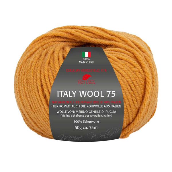 Pro Lana Italy Wool 75 in verschiedenen Farben