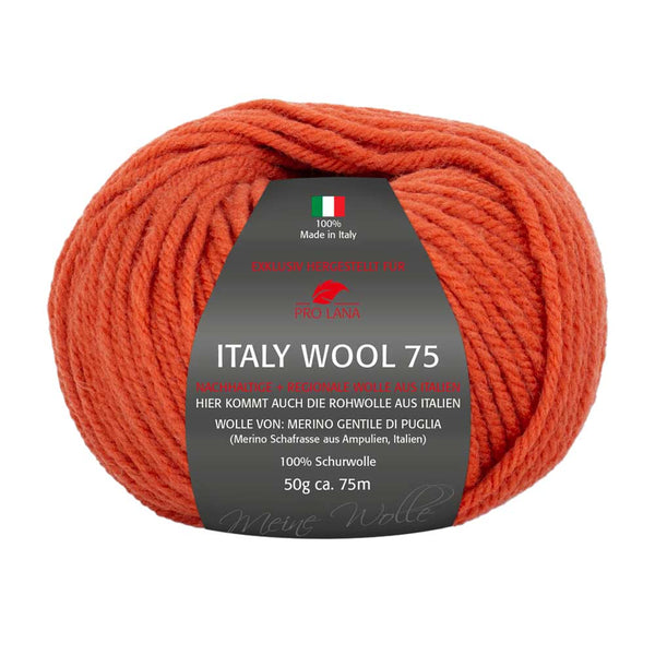 Pro Lana Italy Wool 75 in verschiedenen Farben