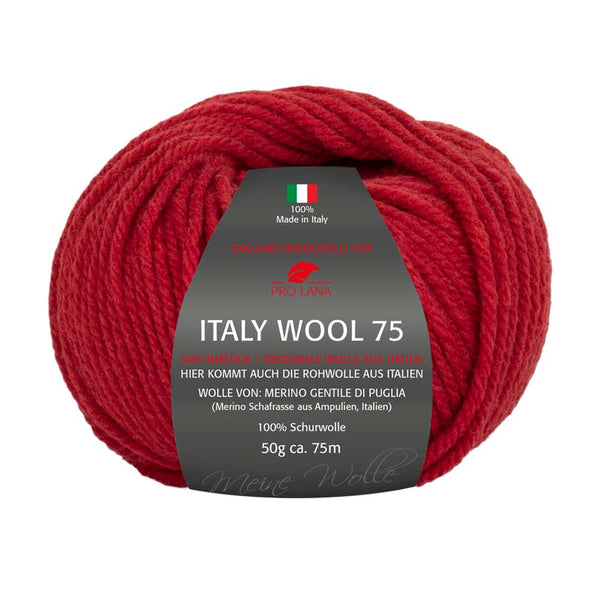 Pro Lana Italy Wool 75 in verschiedenen Farben