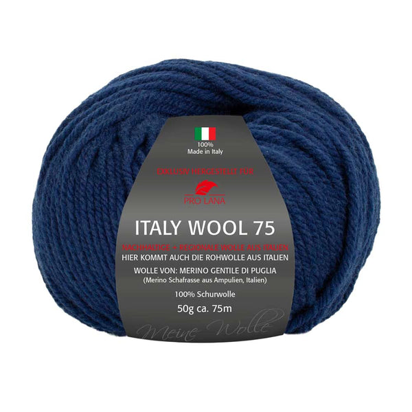 Pro Lana Italy Wool 75 in verschiedenen Farben