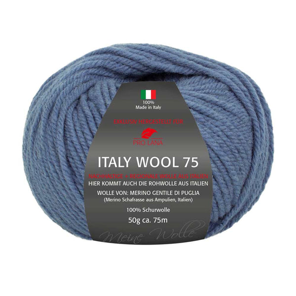 Pro Lana Italy Wool 75 in verschiedenen Farben