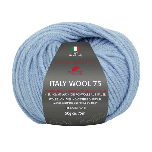 Pro Lana Italy Wool 75 in verschiedenen Farben