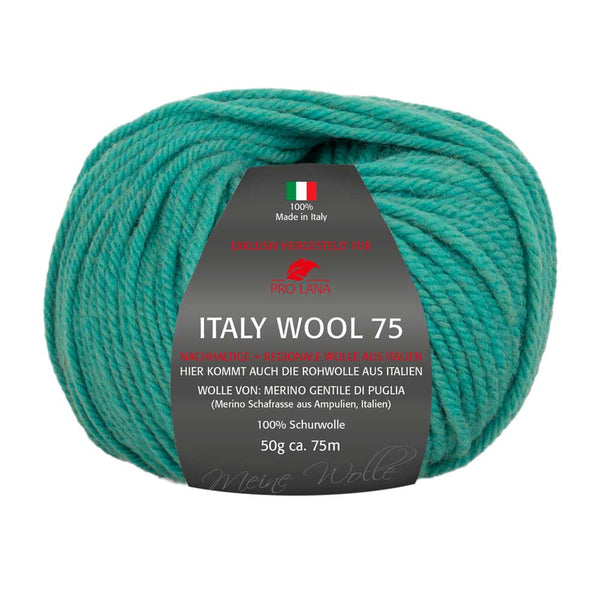 Pro Lana Italy Wool 75 in verschiedenen Farben