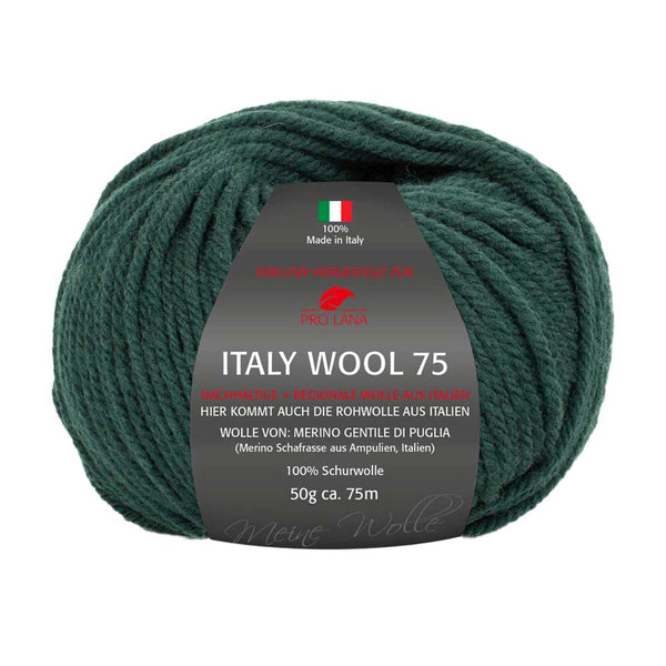 Pro Lana Italy Wool 75 in verschiedenen Farben
