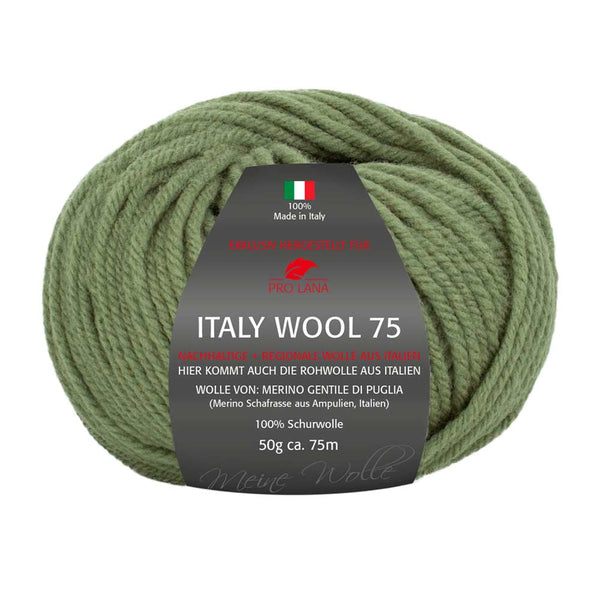 Pro Lana Italy Wool 75 in verschiedenen Farben