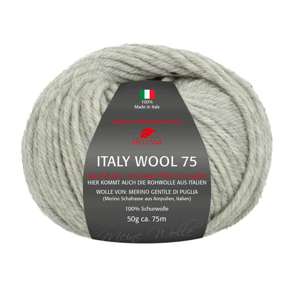 Pro Lana Italy Wool 75 in verschiedenen Farben