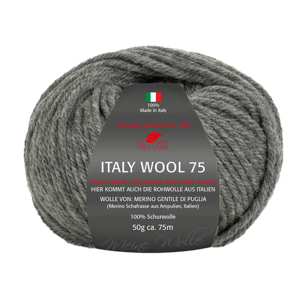 Pro Lana Italy Wool 75 in verschiedenen Farben
