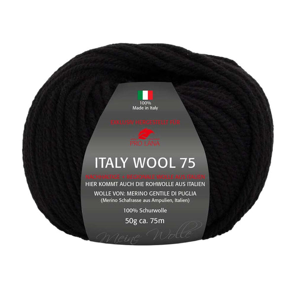 Pro Lana Italy Wool 75 in verschiedenen Farben