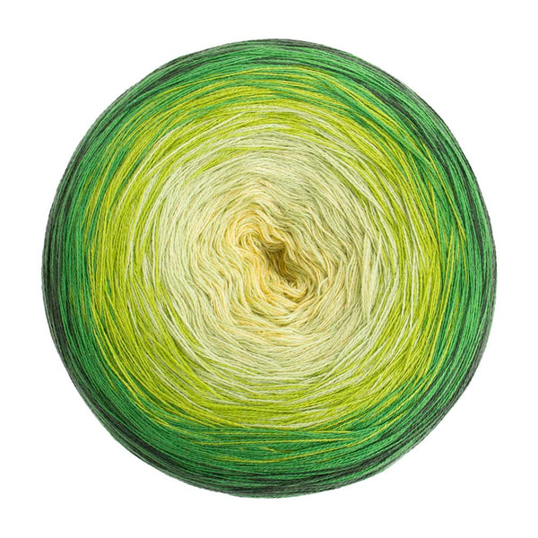 Woolly Hugs Bobbel Cotton XXL in verschiedenen Farben